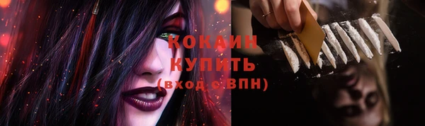 дурь Богданович