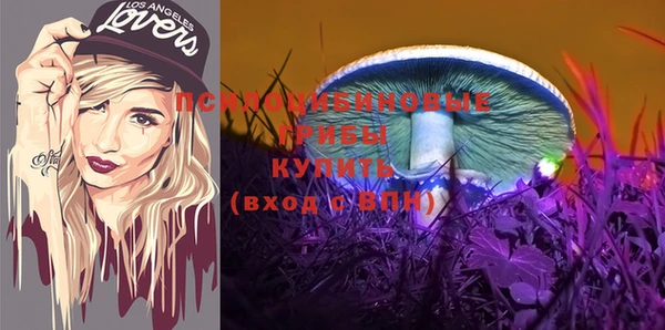 дурь Богданович