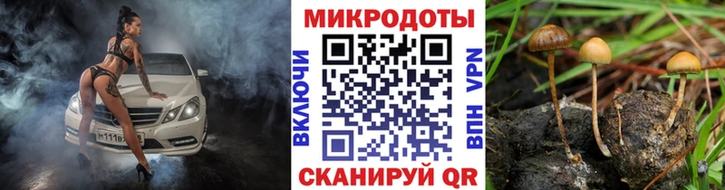 дарк нет Telegram  Кириллов  Галлюциногенные грибы GOLDEN TEACHER  закладки 